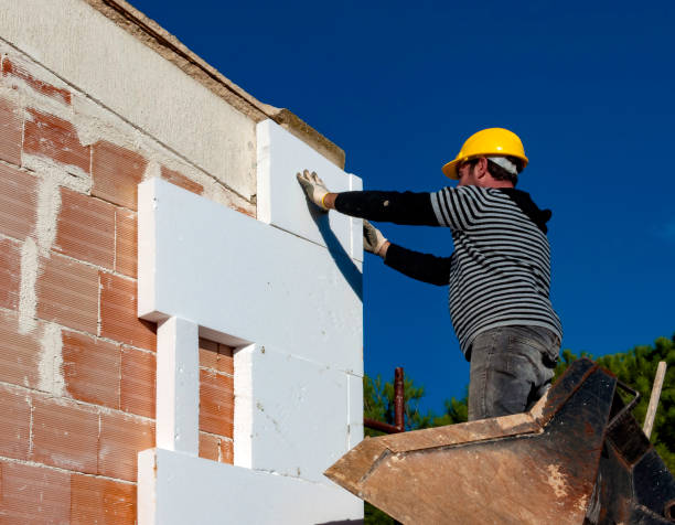 Best Insulation Contractors for Homes  in Woodville, WI