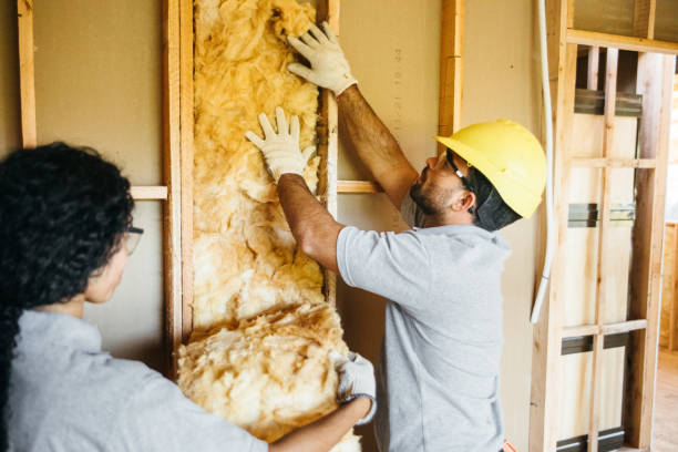 Insulation Inspection Services in Woodville, WI