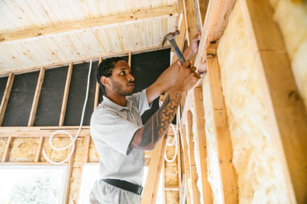 Best Insulation Replacement Services  in Woodville, WI